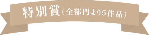 特別賞（全部門より5作品）